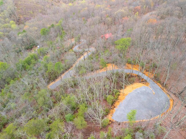 3.93ACRES Green Forest Rd, Cosby, TN 37722 - photo 5