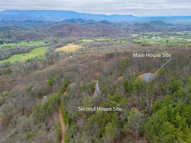 3.93ACRES Green Forest Rd, Cosby, TN 37722 - photo 3