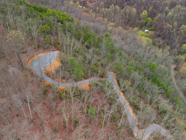 3.93ACRES Green Forest Rd, Cosby, TN 37722 - photo 4