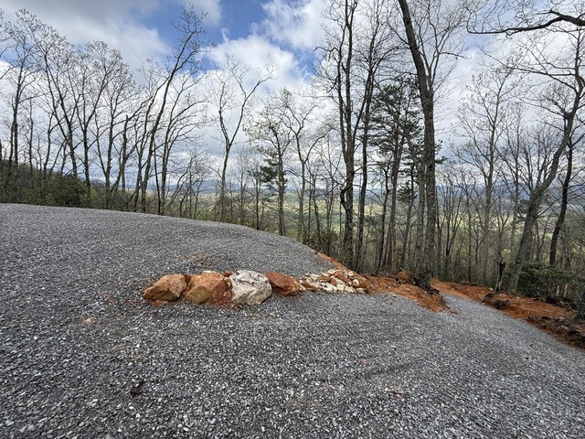 3.93ACRES Green Forest Rd, Cosby, TN 37722 - photo 19