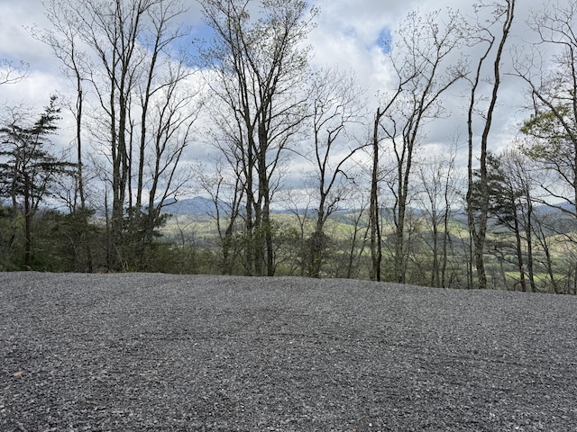 3.93ACRES Green Forest Rd, Cosby, TN 37722 - photo 1