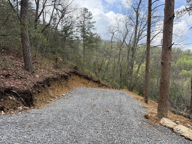 3.93ACRES Green Forest Rd, Cosby, TN 37722 - photo 10