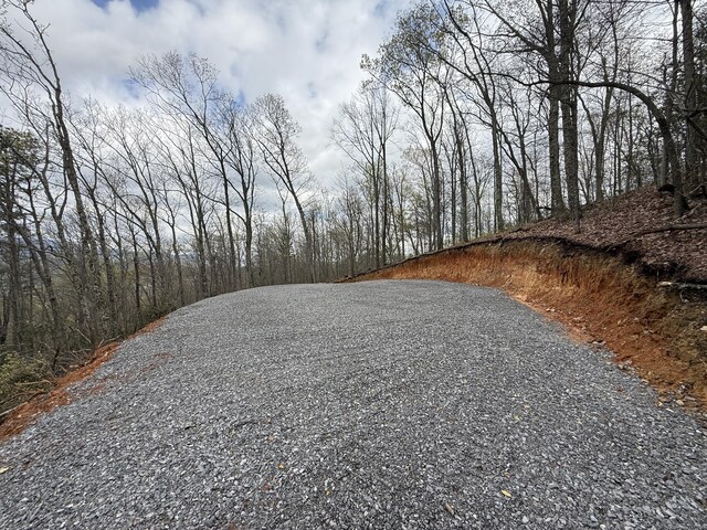 3.93ACRES Green Forest Rd, Cosby, TN 37722 - photo 17