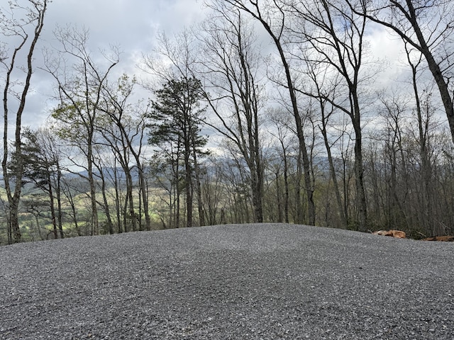 3.93ACRES Green Forest Rd, Cosby, TN 37722 - photo 2