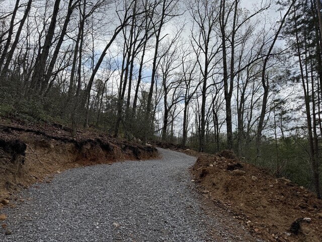 3.93ACRES Green Forest Rd, Cosby, TN 37722 - photo 14