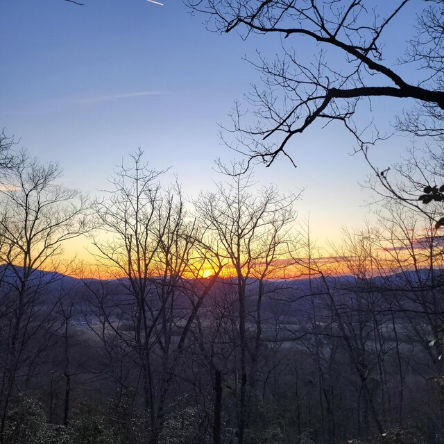 3.93ACRES Green Forest Rd, Cosby, TN 37722 - photo 22