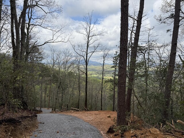 3.93ACRES Green Forest Rd, Cosby, TN 37722 - photo 16