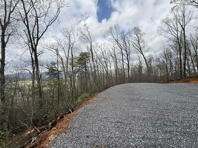 3.93ACRES Green Forest Rd, Cosby, TN 37722 - photo 18
