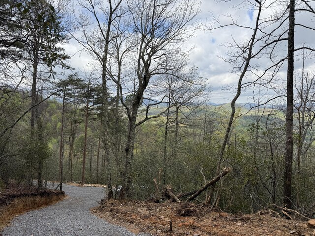 3.93ACRES Green Forest Rd, Cosby, TN 37722 - photo 15