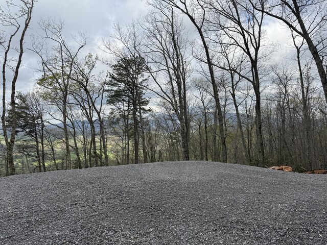 3.93ACRES Green Forest Rd, Cosby, TN 37722 - photo 13