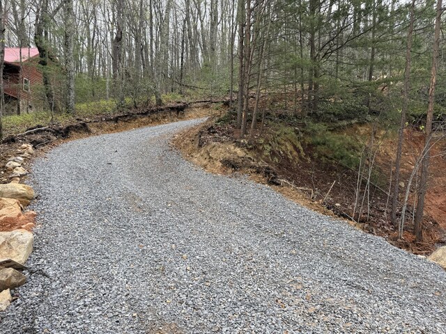 3.93ACRES Green Forest Rd, Cosby, TN 37722 - photo 8