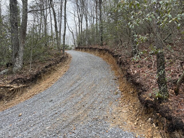 3.93ACRES Green Forest Rd, Cosby, TN 37722 - photo 11