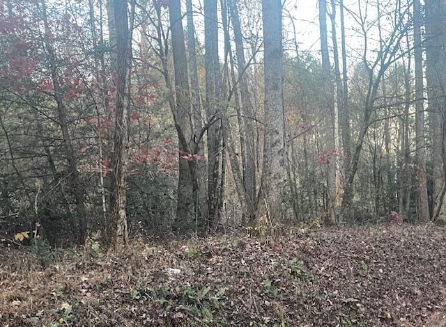 LOT1 Harts Way, Cosby TN, 37722 land for sale