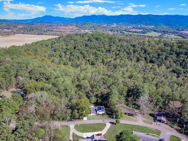 birds eye view of property with a mountain view