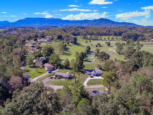 drone / aerial view with a mountain view