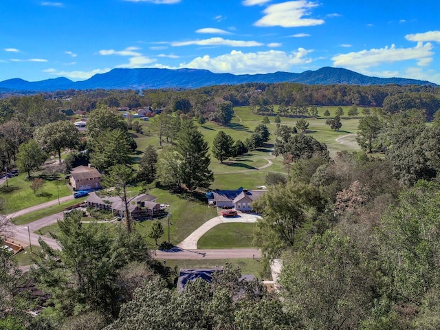 birds eye view of property with a mountain view