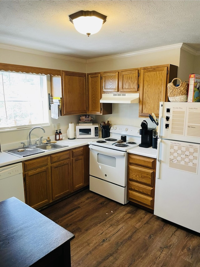 4051 Wynn St, Morristown, TN 37814 - kitchen with white appliances, under cabinet range hood, a sink, dark wood-style floors, and brown cabinetry