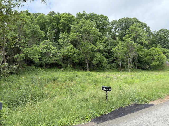 LOT1 Caroll Rd, Morristown, TN 37813