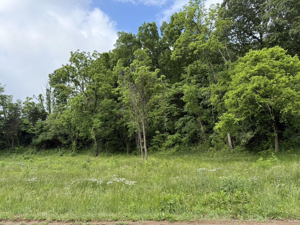 LOT1 Caroll Rd, Morristown, TN 37813