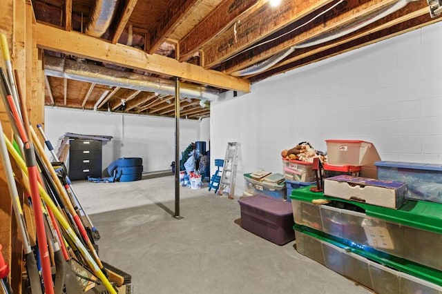 unfinished basement featuring concrete block wall