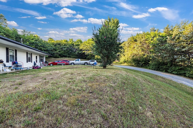 116 Hazel Dr, Sevierville, TN 37862 - photo 23