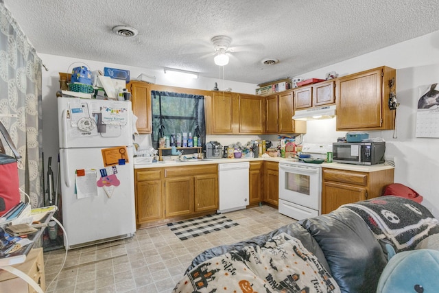 116 Hazel Dr, Sevierville, TN 37862 - photo 5