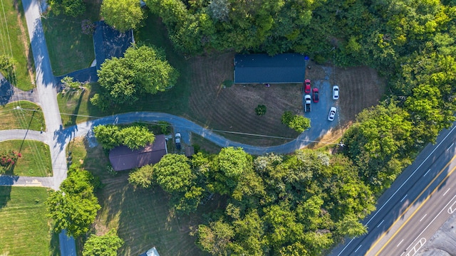 116 Hazel Dr, Sevierville, TN 37862 - photo 16