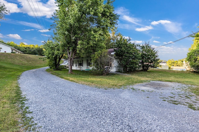 116 Hazel Dr, Sevierville, TN 37862 - photo 29