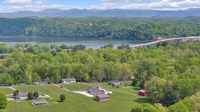 307 Idlewild Dr, White Pine, TN 37890 - photo 7