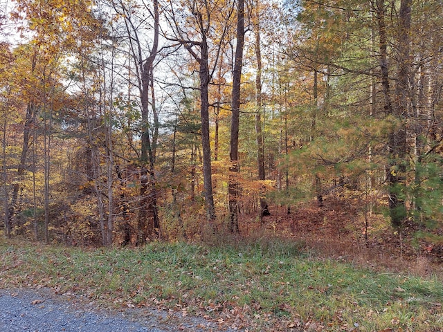 Listing photo 3 for LOT19 Sugar Maple Way, Del Rio TN 37727