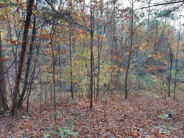 Listing photo 2 for LOT19 Sugar Maple Way, Del Rio TN 37727