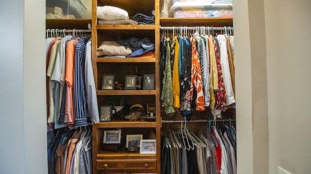 view of closet