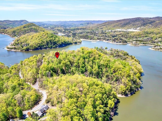 LOT49 Hickory Knoll Cir, Whitesburg, TN 37891 - photo 3