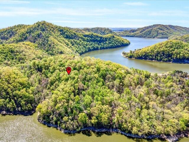 LOT49 Hickory Knoll Cir, Whitesburg, TN 37891 - photo 5