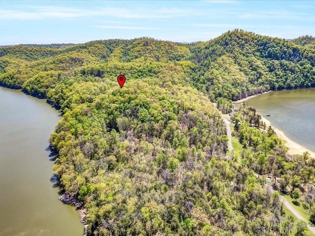LOT49 Hickory Knoll Cir, Whitesburg, TN 37891 - photo 13