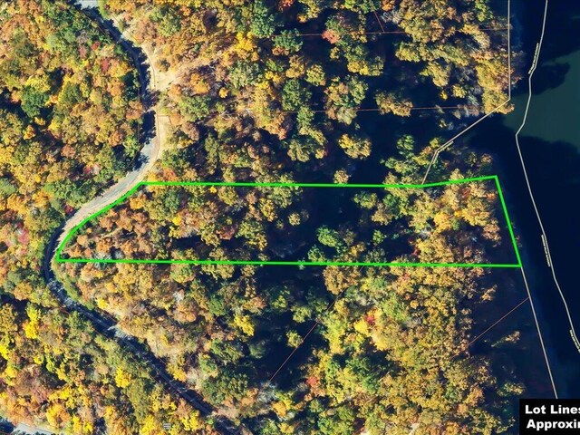 LOT49 Hickory Knoll Cir, Whitesburg, TN 37891 - photo 6