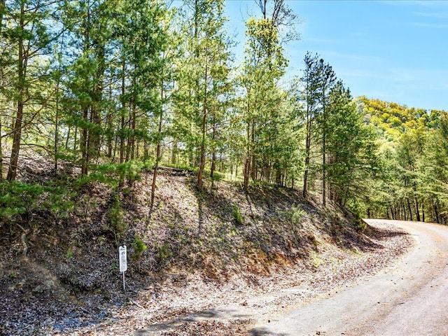 LOT49 Hickory Knoll Cir, Whitesburg, TN 37891 - photo 7