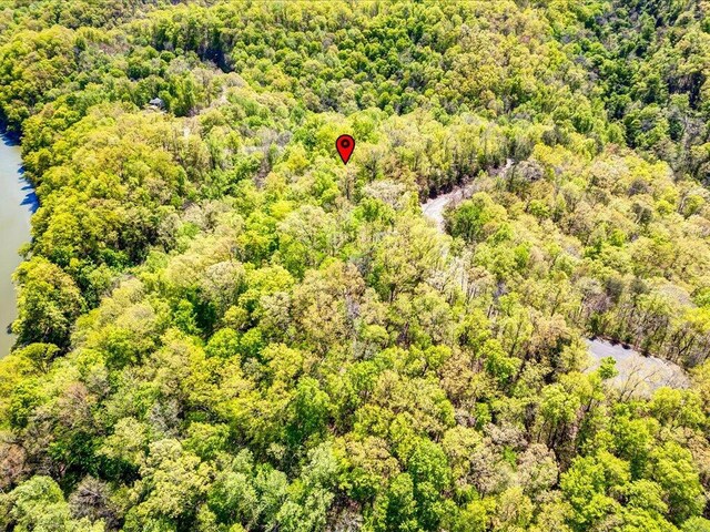 LOT49 Hickory Knoll Cir, Whitesburg, TN 37891 - photo 23