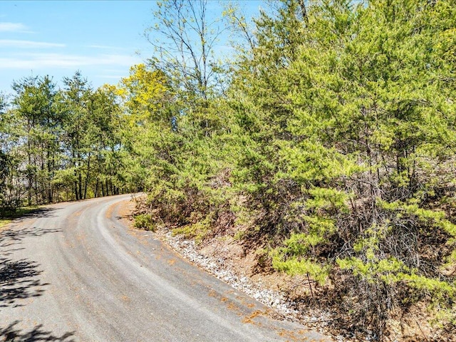 LOT49 Hickory Knoll Cir, Whitesburg, TN 37891 - photo 8