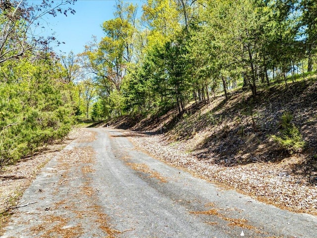 LOT49 Hickory Knoll Cir, Whitesburg, TN 37891 - photo 1