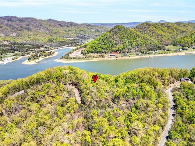 LOT49 Hickory Knoll Cir, Whitesburg, TN 37891 - photo 10