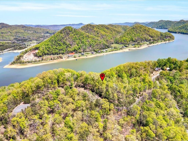 LOT49 Hickory Knoll Cir, Whitesburg, TN 37891 - photo 9