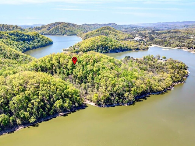 LOT49 Hickory Knoll Cir, Whitesburg, TN 37891 - photo 4
