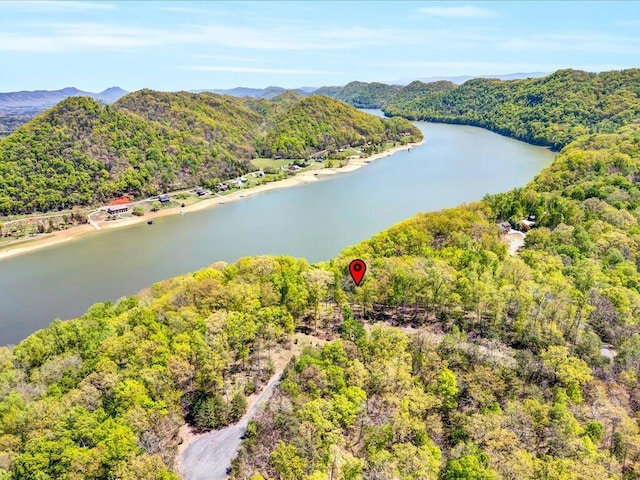 LOT49 Hickory Knoll Cir, Whitesburg, TN 37891 - photo 2