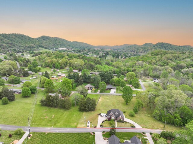 186 Brooks Landing Cir, Rogersville, TN 37857 - photo 70