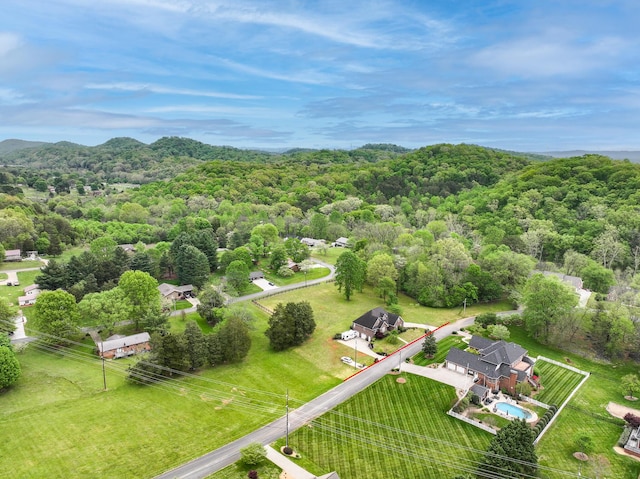 186 Brooks Landing Cir, Rogersville, TN 37857 - photo 69