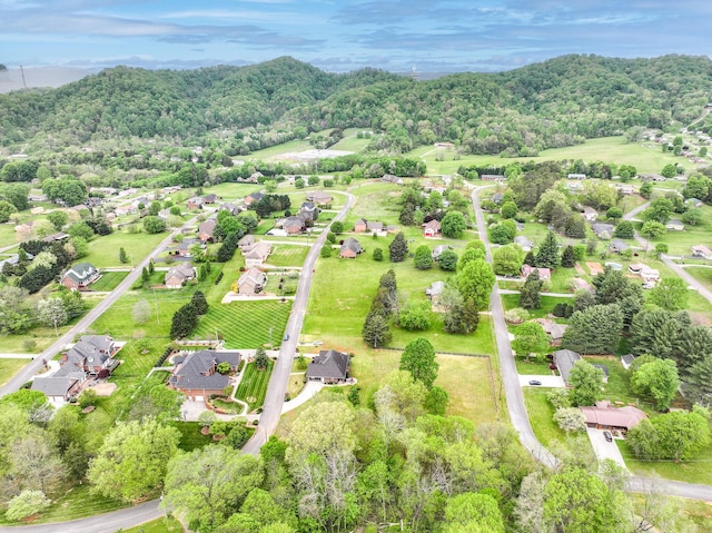 186 Brooks Landing Cir, Rogersville, TN 37857 - photo 73
