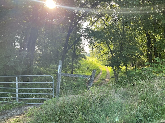 378-G Rocky Top Rd, Newport, TN 37821