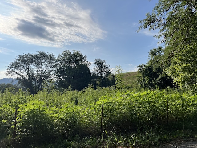 378-G Rocky Top Rd, Newport, TN 37821