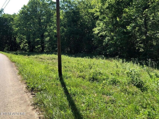 Listing photo 3 for TBD Jackson Hollow Rd, Thorn Hill TN 37881